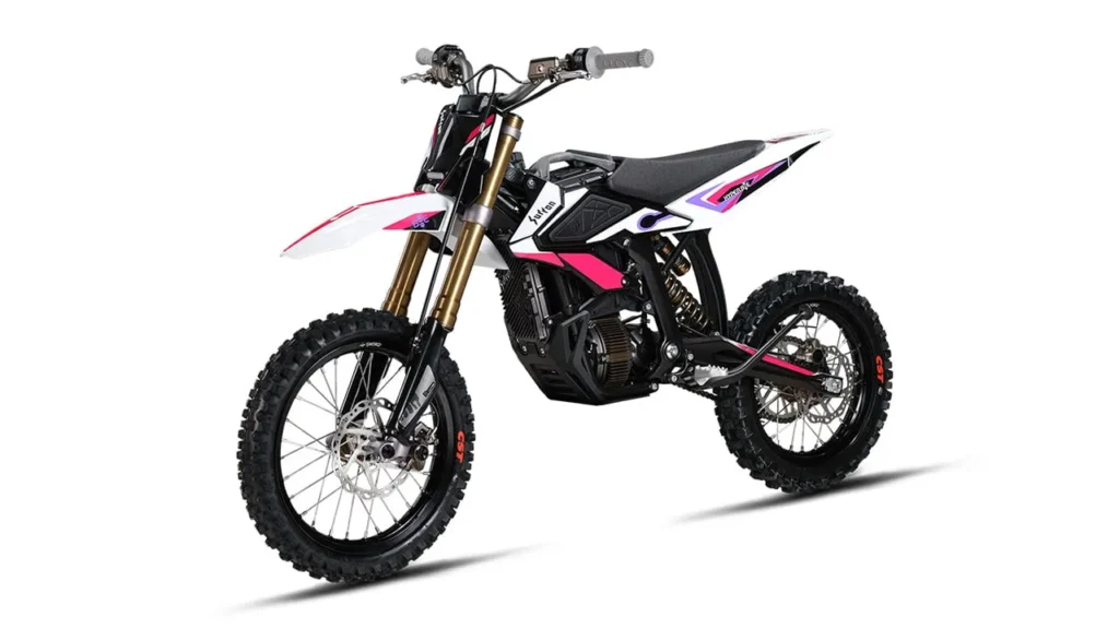 Electric pit bike