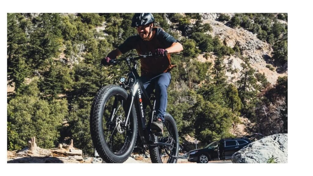 Fat tire electric bikes Fat tire electric bikes