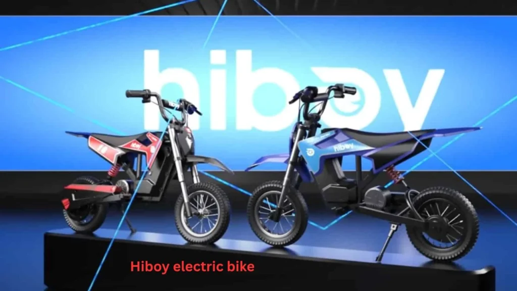 Hiboy electric bike